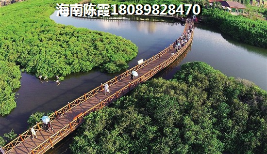 海南购房补充协议中这5点很重要，少一个吃大亏，
