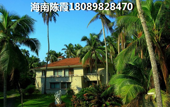 琼海真的适合养老过冬吗