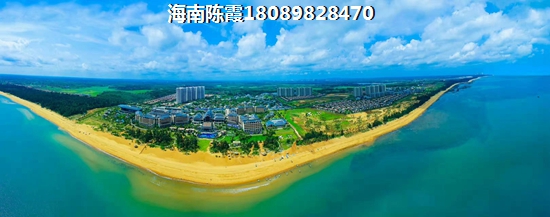 金晖·梦乡缘怎么样
