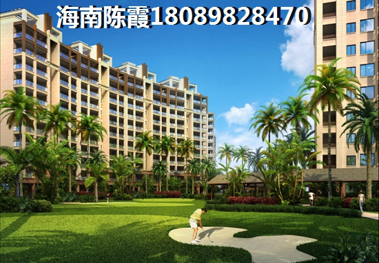 椰香海韵怎么样？