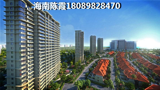 海棠101怎么样