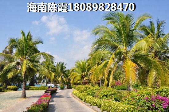 万泉豪廷三期皇家骑士商铺touzi收益率讲解