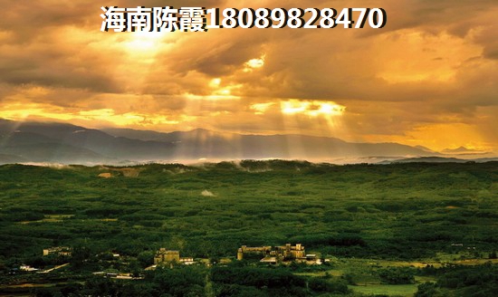 椰香海韵房价还会陆续上涨~