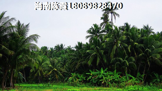 黑石橡树湾房价跌了还是上涨了？3