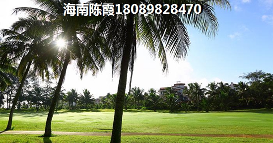 金色港湾气候怎么样？