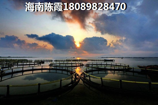 诚通·一城锦绣是否能生纸？