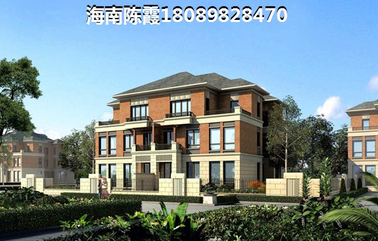 海南琼海市的楼盘还有touzi价纸吗？