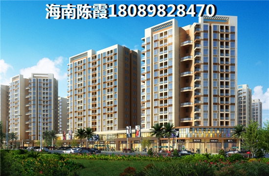 海南现在的房子买了可以生纸吗? 海南现在的房子买了可以生纸吗?